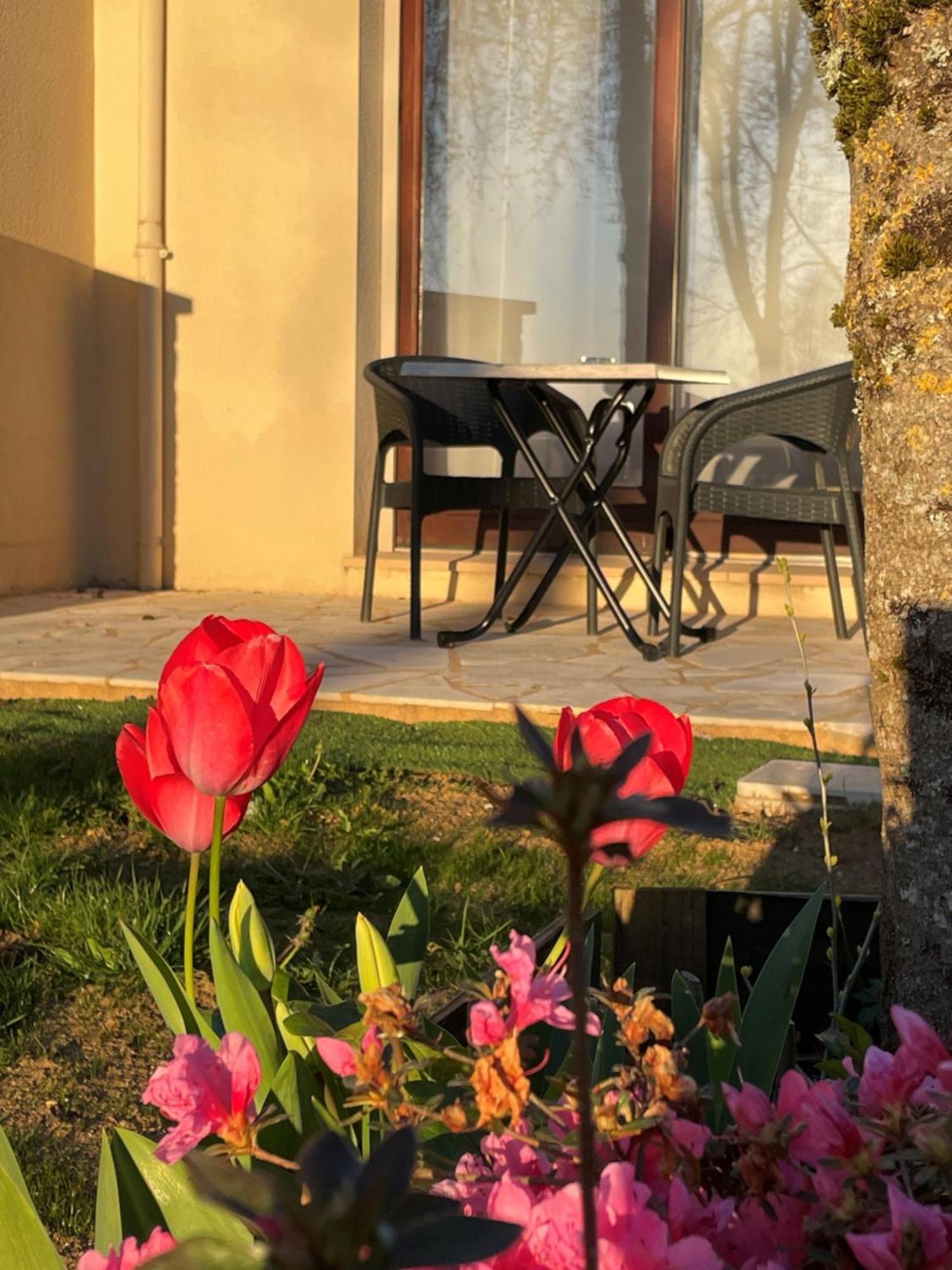 Hotel Le Mas Del Pechs - Chambres Avec Terrasse Sarlat-la-Caneda Bagian luar foto