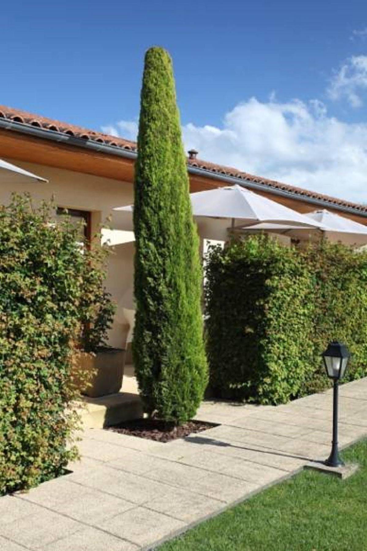 Hotel Le Mas Del Pechs - Chambres Avec Terrasse Sarlat-la-Caneda Bagian luar foto